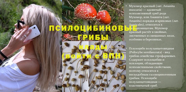 бутират Алексеевка