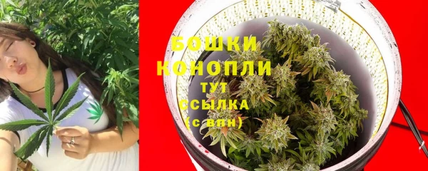 стафф Приозерск