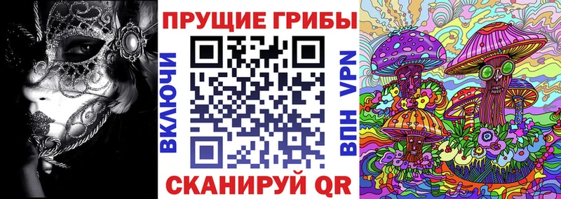 Псилоцибиновые грибы MAGIC MUSHROOMS  Купить  Большой Камень 